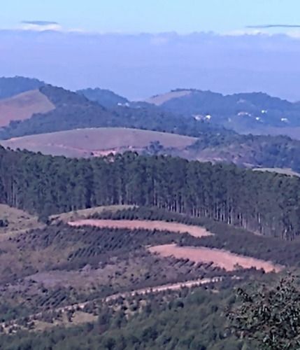 Imagem 2 de 4 de Jv284 Chácara Do Sonhos.