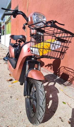 Imagen 10 de 25 de Moto Bici Triciclo Eléctrica 250 Y 350 Watt Con Garantía