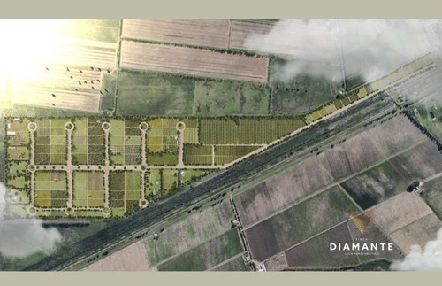 Imagen 3 de 30 de Terreno - Goudge