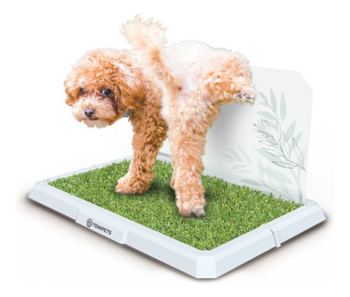 Alfombra sanitaria para perros Tonipets Bandeja Mini Macho lavable Mini Macho color blanco y verde de 48cm x 33cm