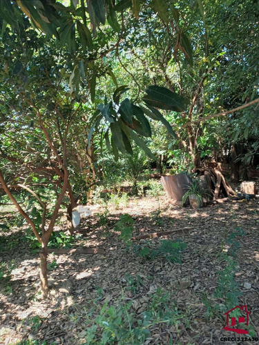 Imagem 6 de 6 de Vende - Se Essa Chacara No São Bento - Sumaré/sp. - Ch00038 - 70737649
