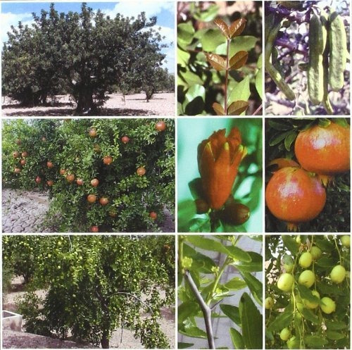 Tratado De Fruticultura Para Zona Aridas Y Semiari - MeLG...