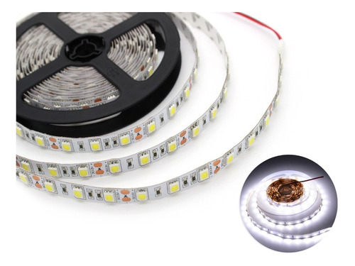 Rollo 5 Mt Tira Led Smd 5050 300 Led Blanco Frío 12vcc