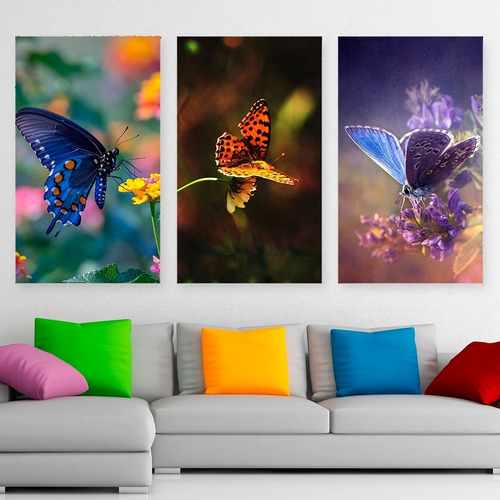 Cuadros Mariposas Coloridas Art Promo X3 De 80x50cm