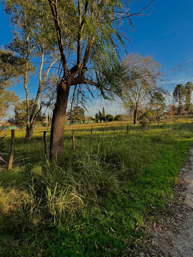 Lotes En Venta Con Excelente Ubicación Loma Verde Los Mandarinos Ii