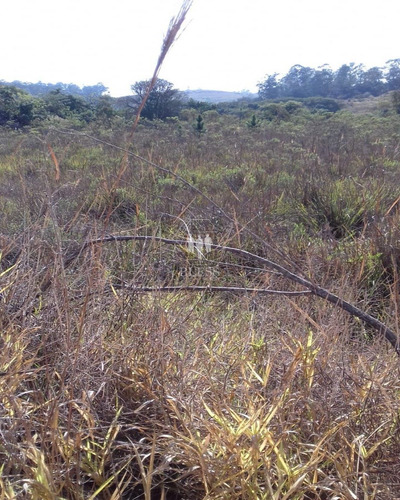 Sitio Situado Em Campo Limpo Paulista E Jarinu - Sp - Ch00111 - 32760799