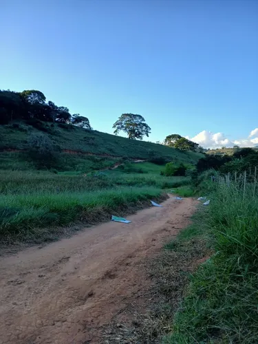 Propriedade Rural 22 Hectares