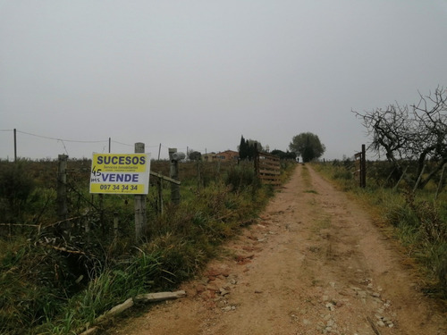 Imagen 3 de 20 de Chacra 4.5 Has Con 2 Casa En Venta - Ruta 66 Km 24 200 Toledo Chico