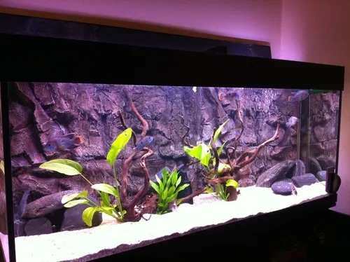 Tubo 15w Fluorescente Grolux Sylvania Electro Medina