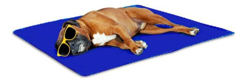 Manta Gel Refrescante Para Mascota Pet Cool Mat - Talla Xl