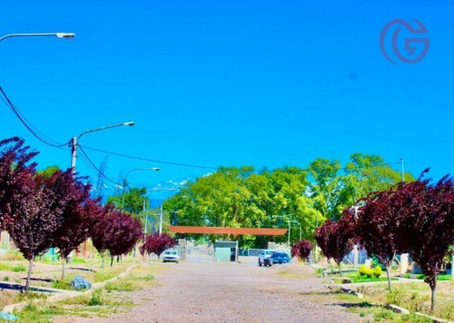 Imagen 7 de 11 de Greenwood Vende Ultimos 11 Lotes En Barrio Terra Bei Perdriel