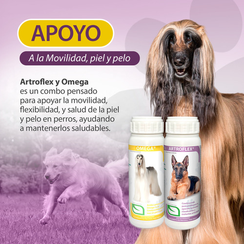 Artroflex Y Omega Ruiland Combo 200 Tabletas Vitaminas para Perro