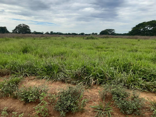 Imagen 10 de 19 de Finca Totalmente Equipada En Cojedes