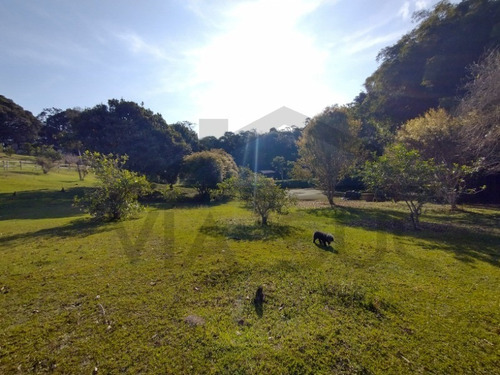Imagem 13 de 30 de Exuberante Sítio Completo, Rico Em Água Com Nascente Própria, 02 Lagos Piscosos. Excelente Oportunidade!!! Localizado Em Juquitiba/sp - 27 - 32982809