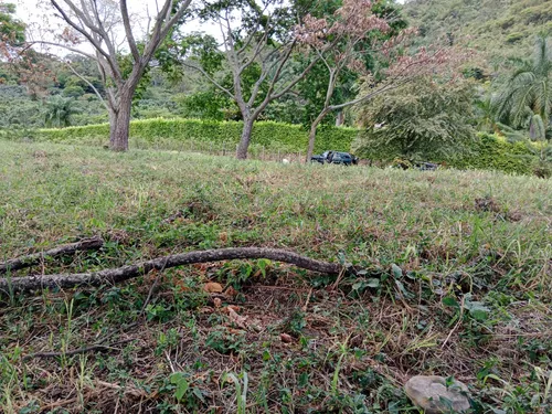 Linda Finca Que Hace Parte De Una Mas Grande, Para Inversionista Es Sub Urbana