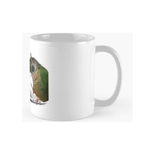 Taza Soporte Técnico Birb Calidad Premium