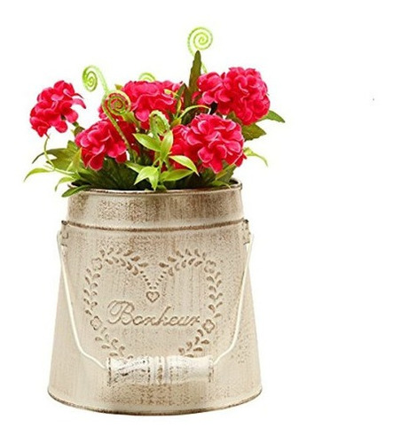 Mygift French Country Vintage Style Rustic Metal Decoracion
