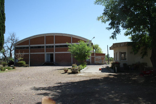 Bodega - Mendoza