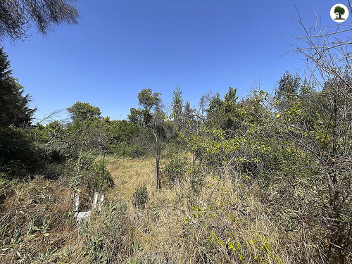 Sitio Para Proyecto Inmobiliario En La Reina