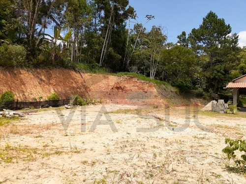 Imagem 25 de 30 de Sítio À Venda Em Juquitiba - 303 - 34847003