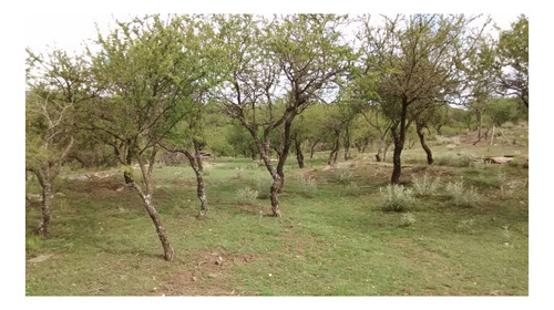 Imagen 7 de 30 de Casa A La Vera Del Rio En Las Sierras