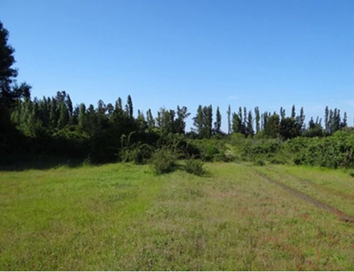 Terreno Construccion En Venta En Cabrero Bulnes Chamavida Yu