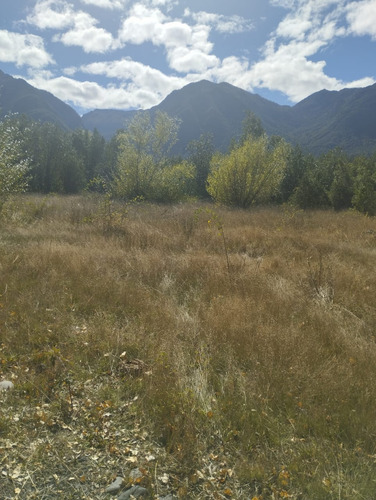Se Vende Hermoso Campo De 4 Hectarias