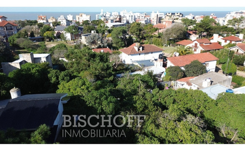 Venta De Lote En Ostende Calle Moreno