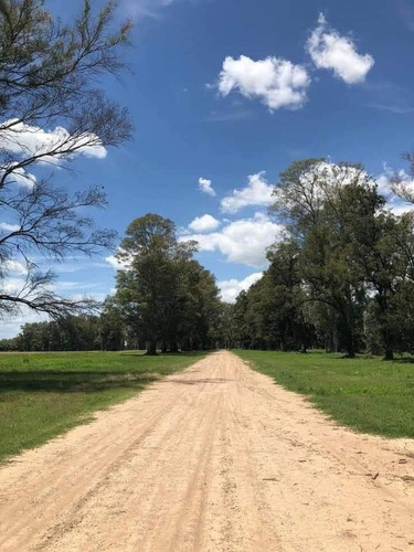 Imagen 10 de 15 de Oportunidad! Lote 1.000mts2. En B° Los Tres Pinos, General Rodríguez.