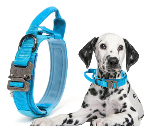 Collar Táctico Militar Para Perro Ajustable Hebilla Metalico Color Azul Tamaño Del Collar M (mediano)