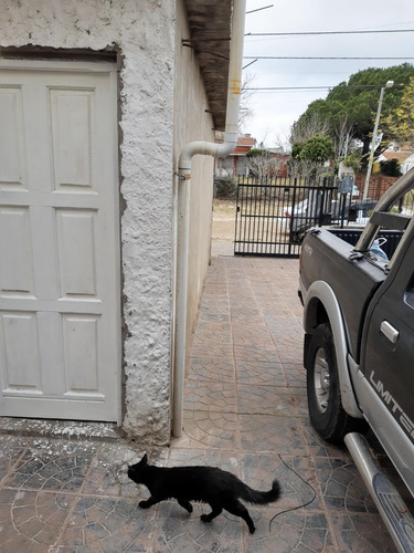 Imagen 3 de 14 de Excelente Propiedad Con 2 Dúplex Y Local Garage En Santa Ter