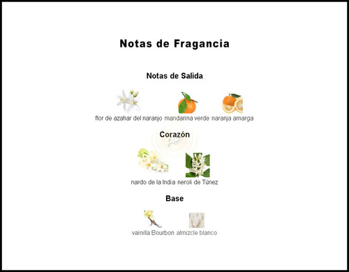 Perfume My Lady Way Floral Yves D'orgeval