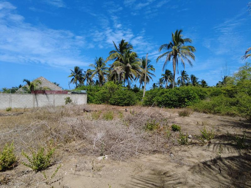 Venta Terreno 1050 M² Col. Playa Paraiso Tuxpan Veracruz