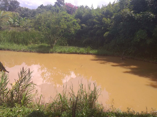 Imagem 3 de 30 de Chacara - Ch00074 - 69272668