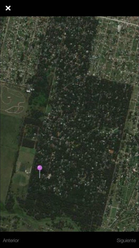Imagen 3 de 15 de Lotes Increibles En Bosque Peralta Ramos