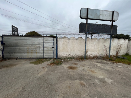 Arriendo Local Comercial Sector Céntrico Y Urbano Quillota