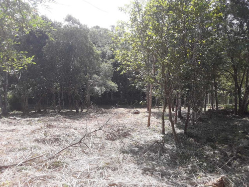 Imagem 3 de 5 de Juquitiba/belo Terreno P/lazer Ou Morar/ac/auto/ref:05197
