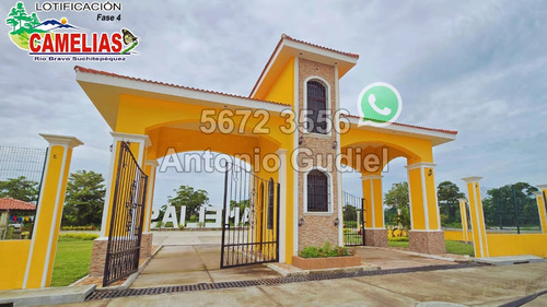 Lotes 8x16 Mts En Residenciales Camelias Fase 4