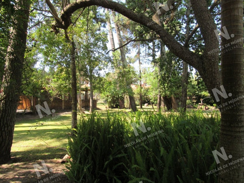 Imagen 3 de 3 de Excelente Lote En Venta - Punta Del Este San Rafael