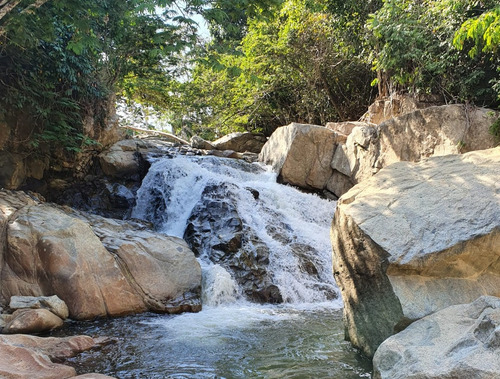 Parcela Paradisíaca En Mulatos Parcelación. Maceo, Ant. Invierta Y Viva La Naturaleza A Solo 2 H 20' De Medellín