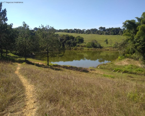 Imagem 22 de 22 de Sítio À Venda No Distrito Do Porto - Capela Do Alto/sp - St00280 - 69520129