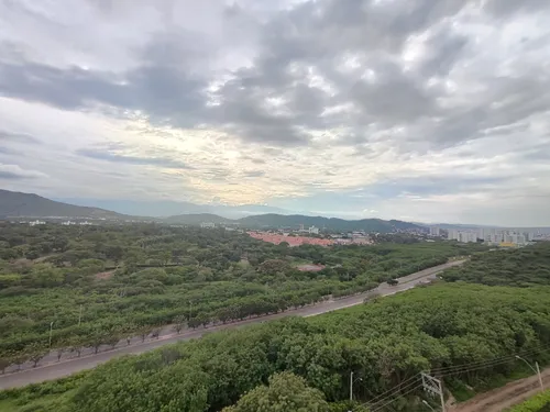 Apartamento En Venta En La Floresta. Cod V30755