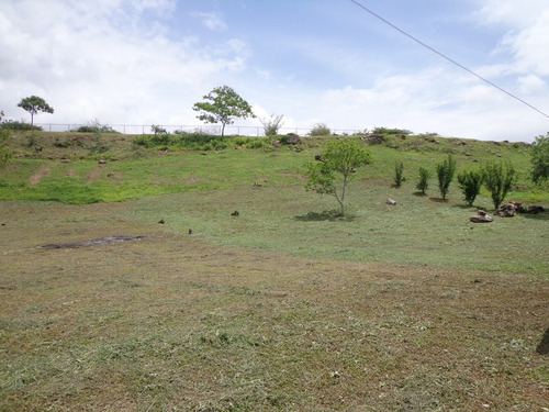 Granja En Cabudare Los Naranjillos, Via El Palaciero