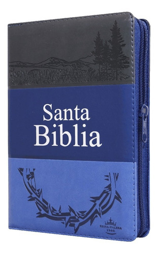 Imagen 1 de 9 de Biblia Rvr1960 Letra Gde. Imit. Piel Gris/azul Cierre/índice