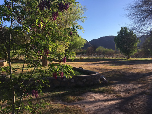 Venta Finca Y Bodega Con Vivienda