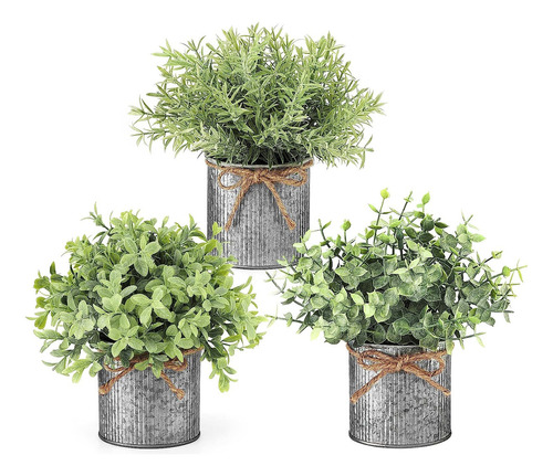 Mini Plantas Falsas Macetas De Metal Galvanizado Casa D...