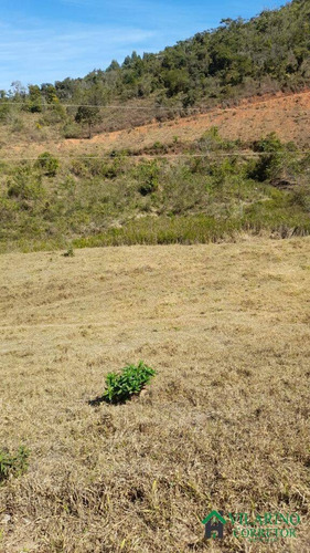 Imagem 2 de 15 de Fazenda Com Muita Água Em Peçanha - 3120