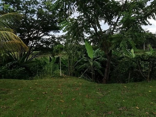 Imagen 28 de 30 de Angelica Naty Rent A House Casa En Venta Safari Carabobo Country Valencia Cod 22-204 Ar