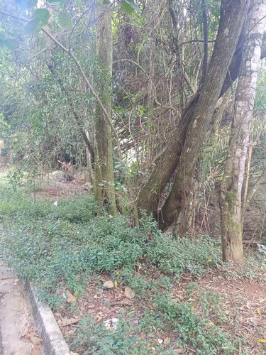 Imagem 2 de 4 de Terreno, Recanto Maravilha Iii, Santana De Parnaíba - R$ 180 Mil, Cod: 235546 - V235546