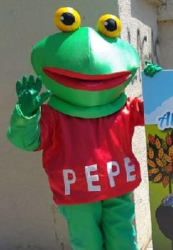 Disfraz Sapo Pepe X24hs O Finde